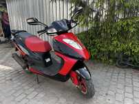 Skuter ZIPP 50cm zarejestrowany