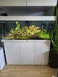Akwarium Juwel 240l zestaw