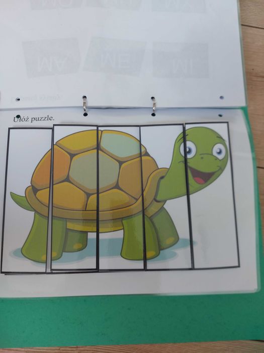 Segregator dydaktyczny, kształcenie indywidualne