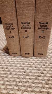 Słownik Języka Polskiego I,II,III PWN-M.Szymczak i R.Łąkowski
