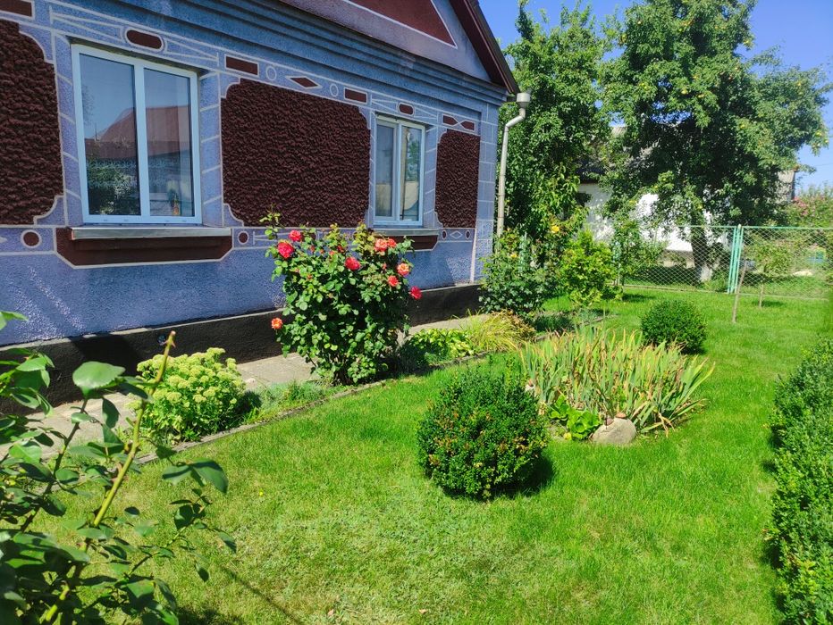 Будинок з присадибною ділянкою