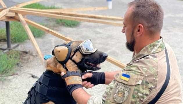 Тактичні проффесійні окуляри для собак Elite, (3 лінзи), coyote/black