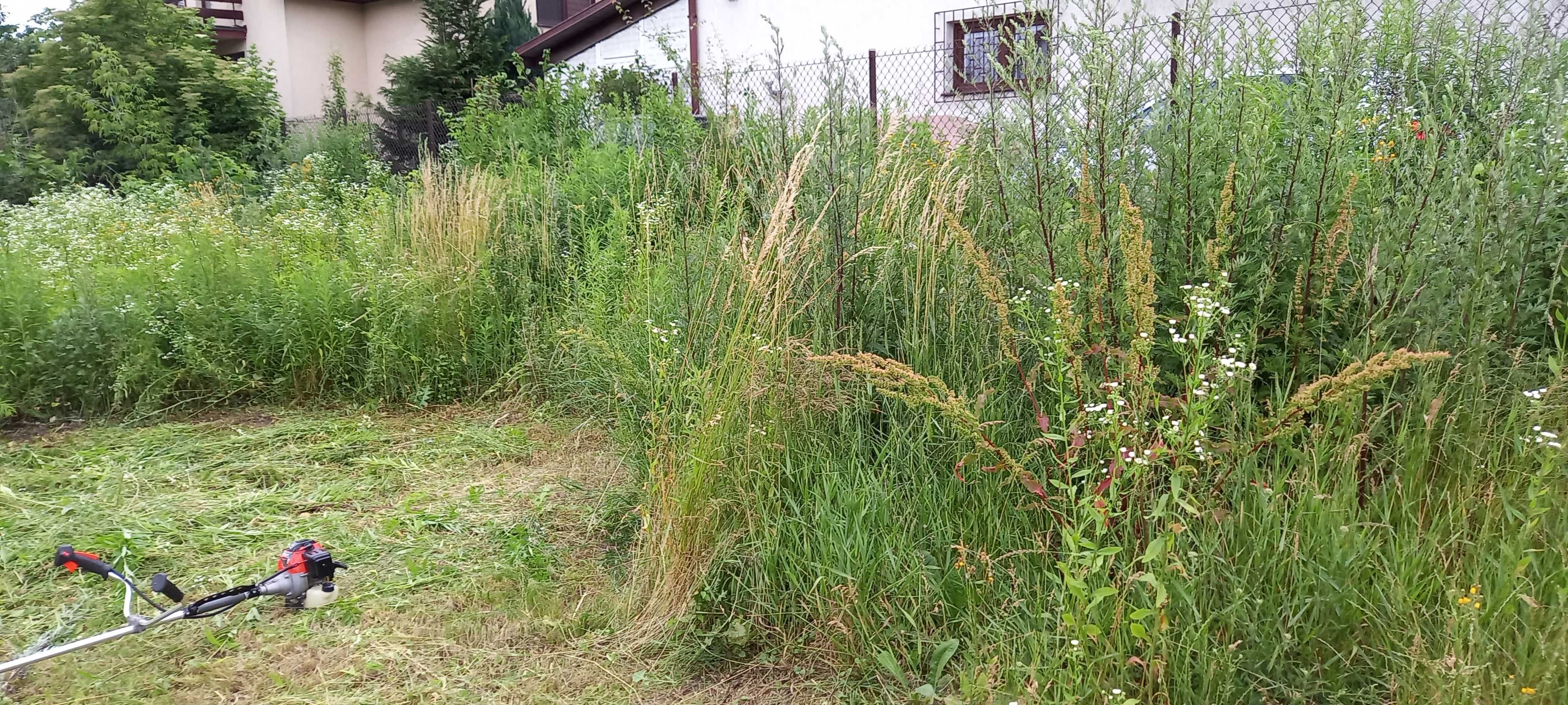 Koszenie trawy, prace porządkowe ogrodnicze, przycinanie żywopłotu