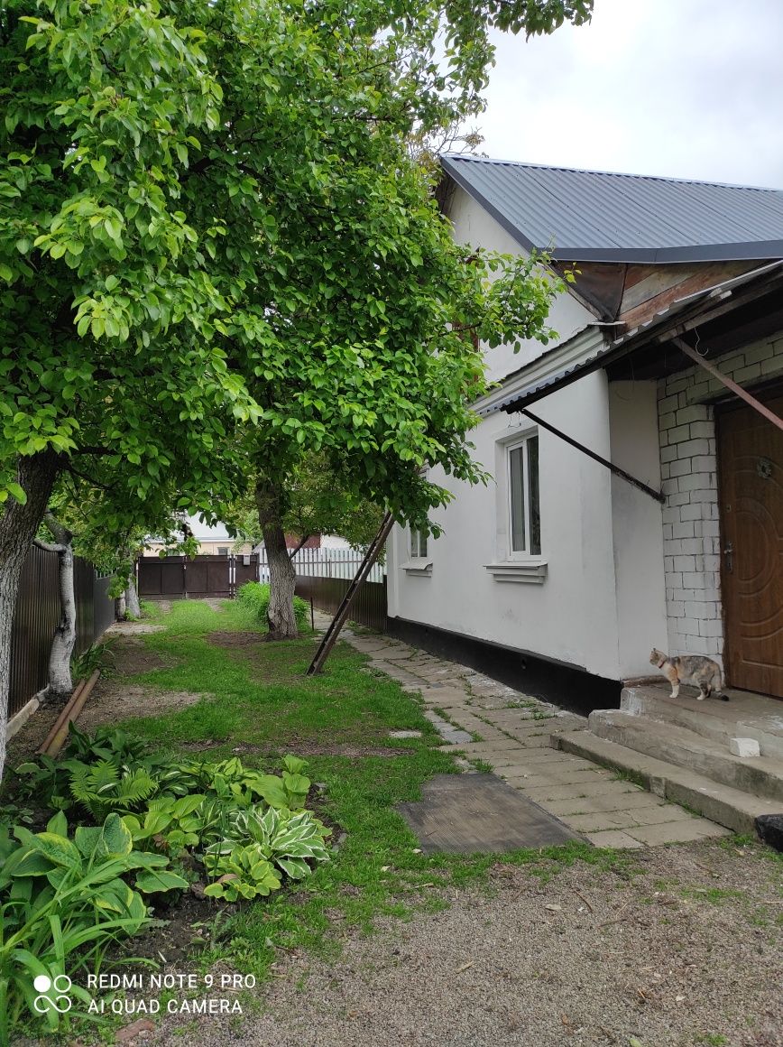 Будинок в центрі міста