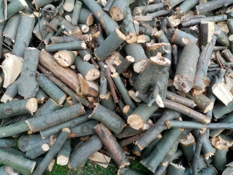 Oddam drewno opalowe