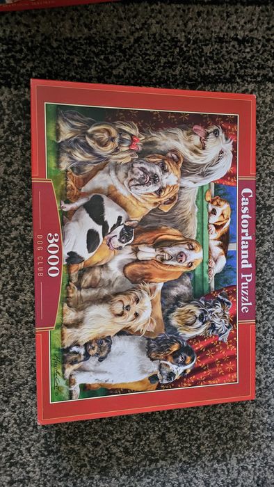 Puzzle 3000 element.