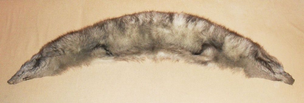 Kołnierz z lisa długość 103 cm, szerokość do 18 cm.