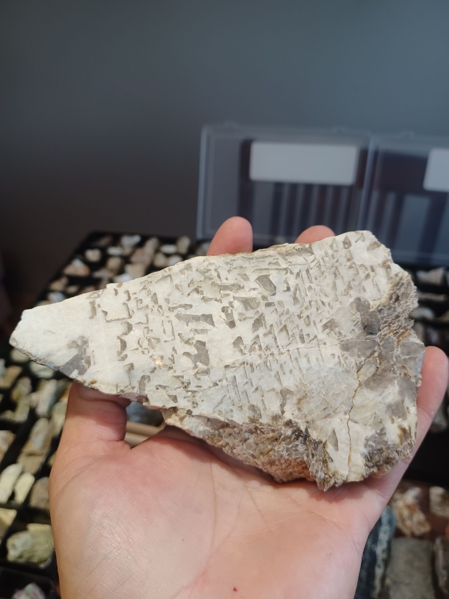 Minerały skamieniałości skały granit pismowy(pegmatyt)