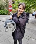 Доставка, перевезення тварин закордон. Перевозка животных в Европу.