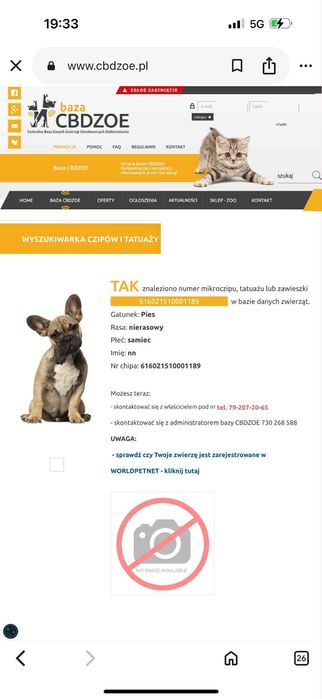 Nutka szuka nowego domu