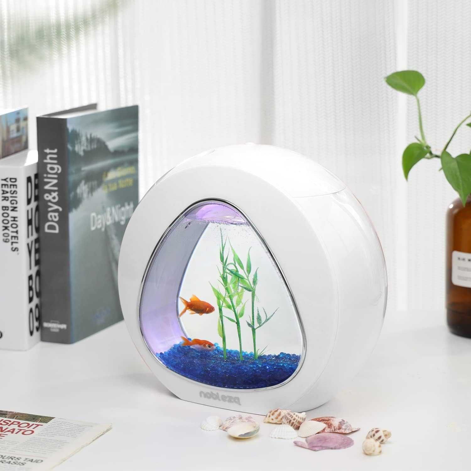 Akwarium Design ze szklanym okienkiem i światłem LED