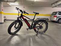 Rower elektryczny Jobobike Robin