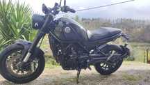 Benelli Leoncino 500
