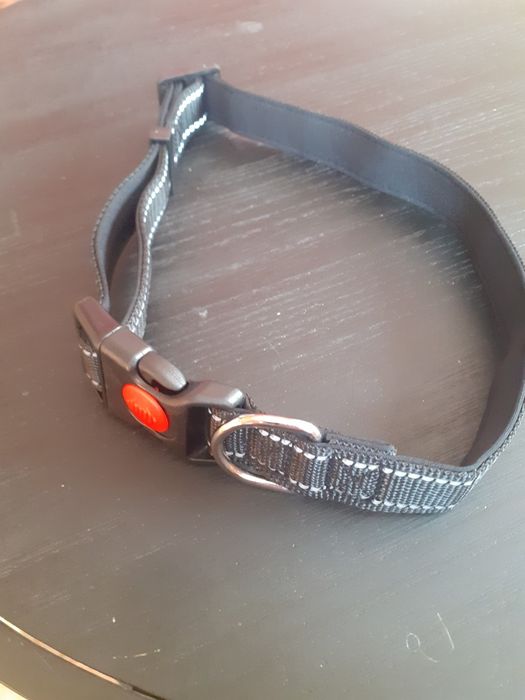 Obroża dla psa nowa