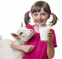 Продам смачненьке козинє молоко