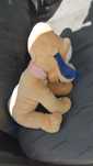 Vendo boneco de peluche forma de cão