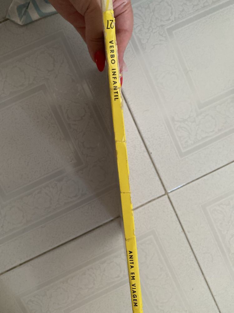 Livro Anita em viagem