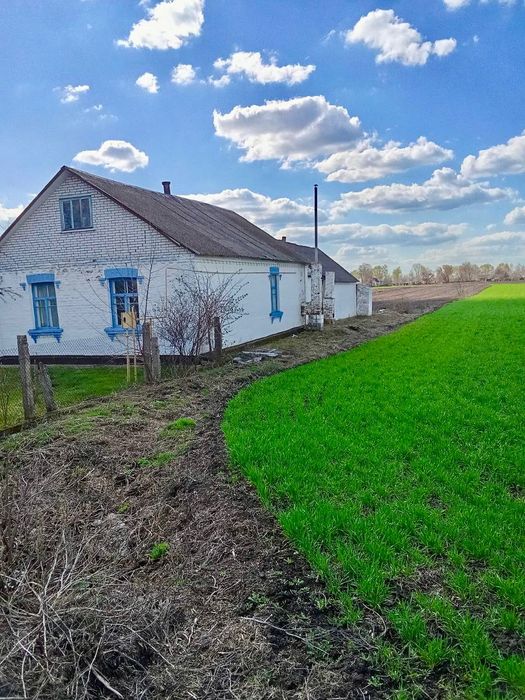 Продажа будинку с.Нова Маківка , Білоцерківський рн. Київська обл.