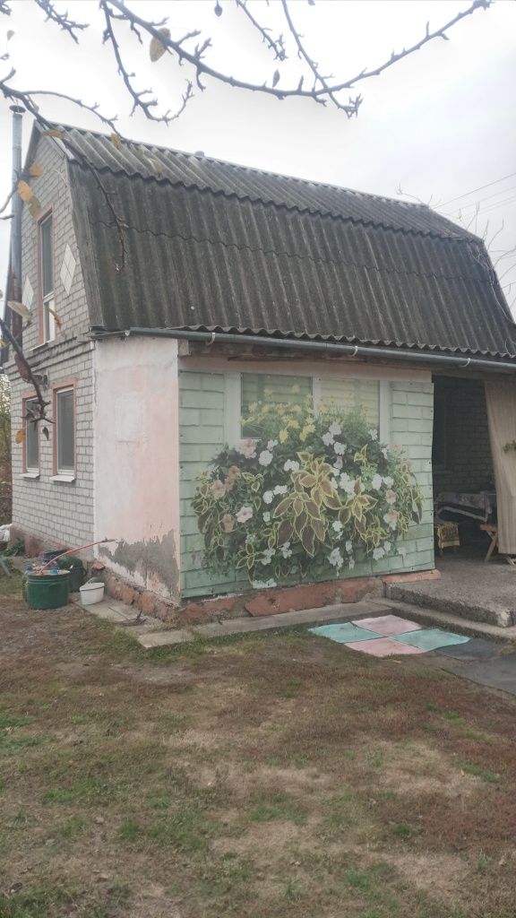 Продам дом дачу в лесу