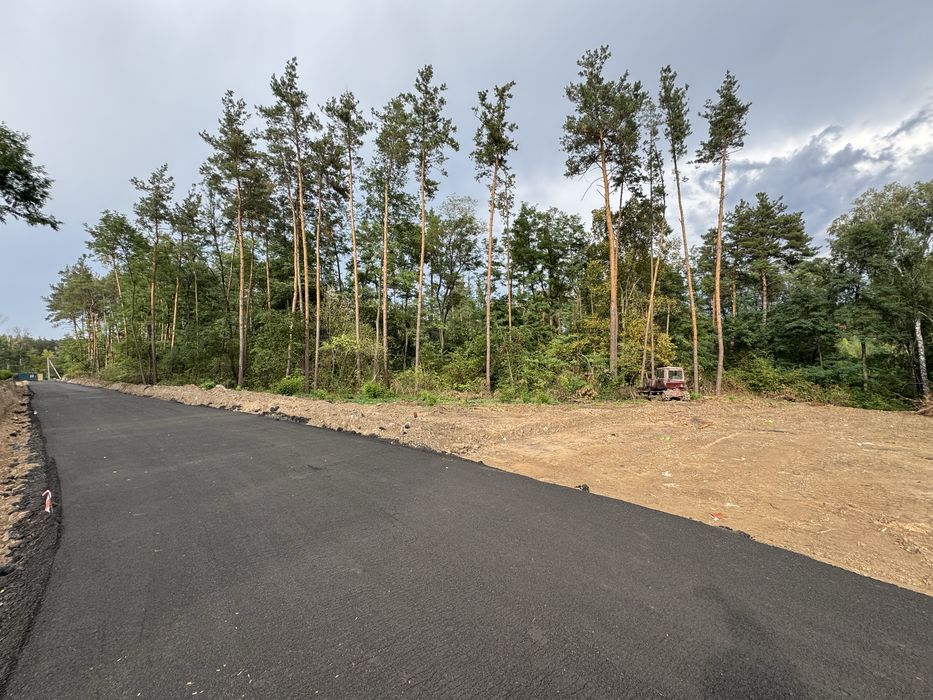 Продаж ділянок у сосновому лісі від 10-12-25 соток КМ Нова Ходосівка