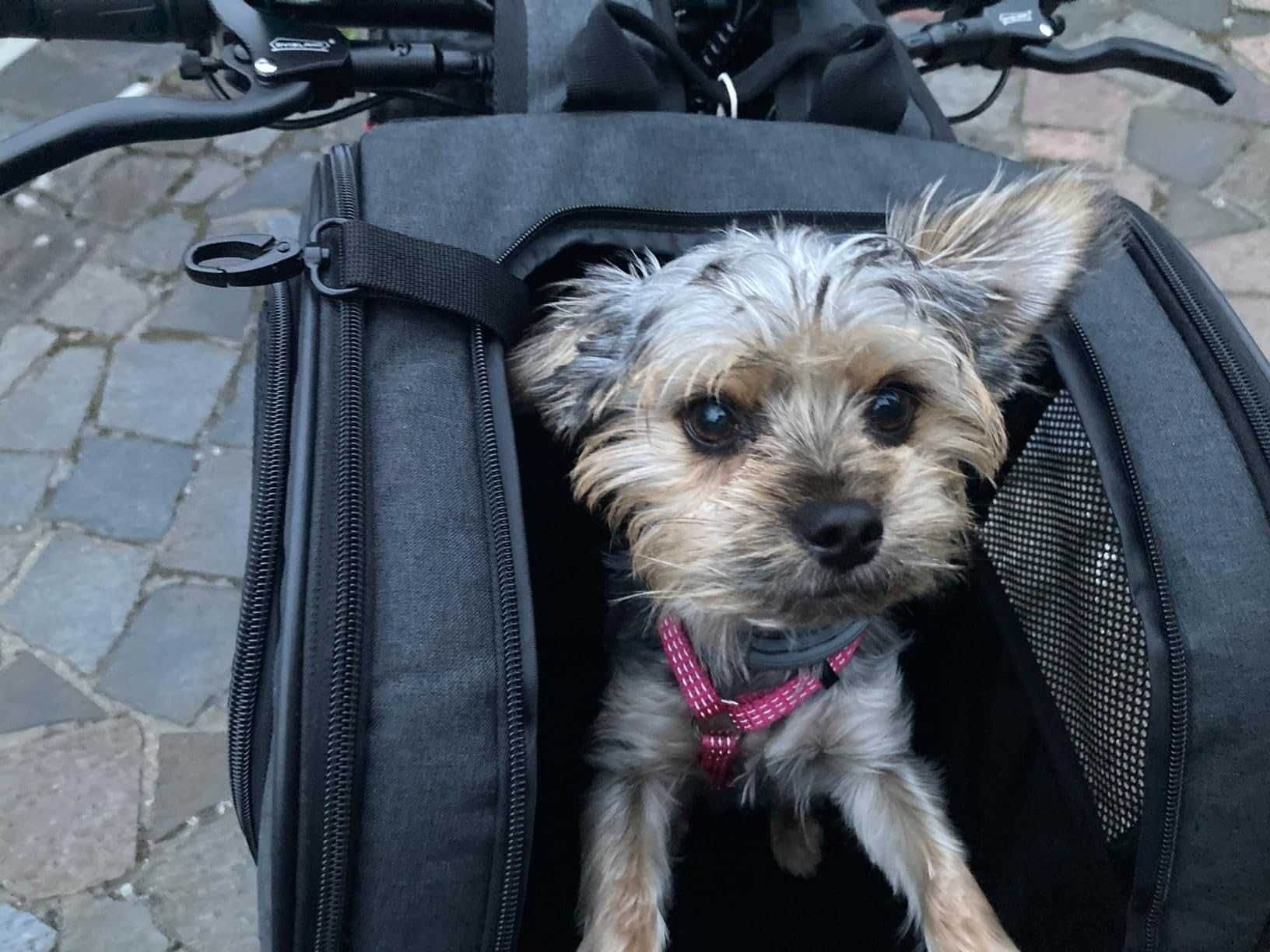Transporter torba plecak dla psa kota, na rower, do noszenia