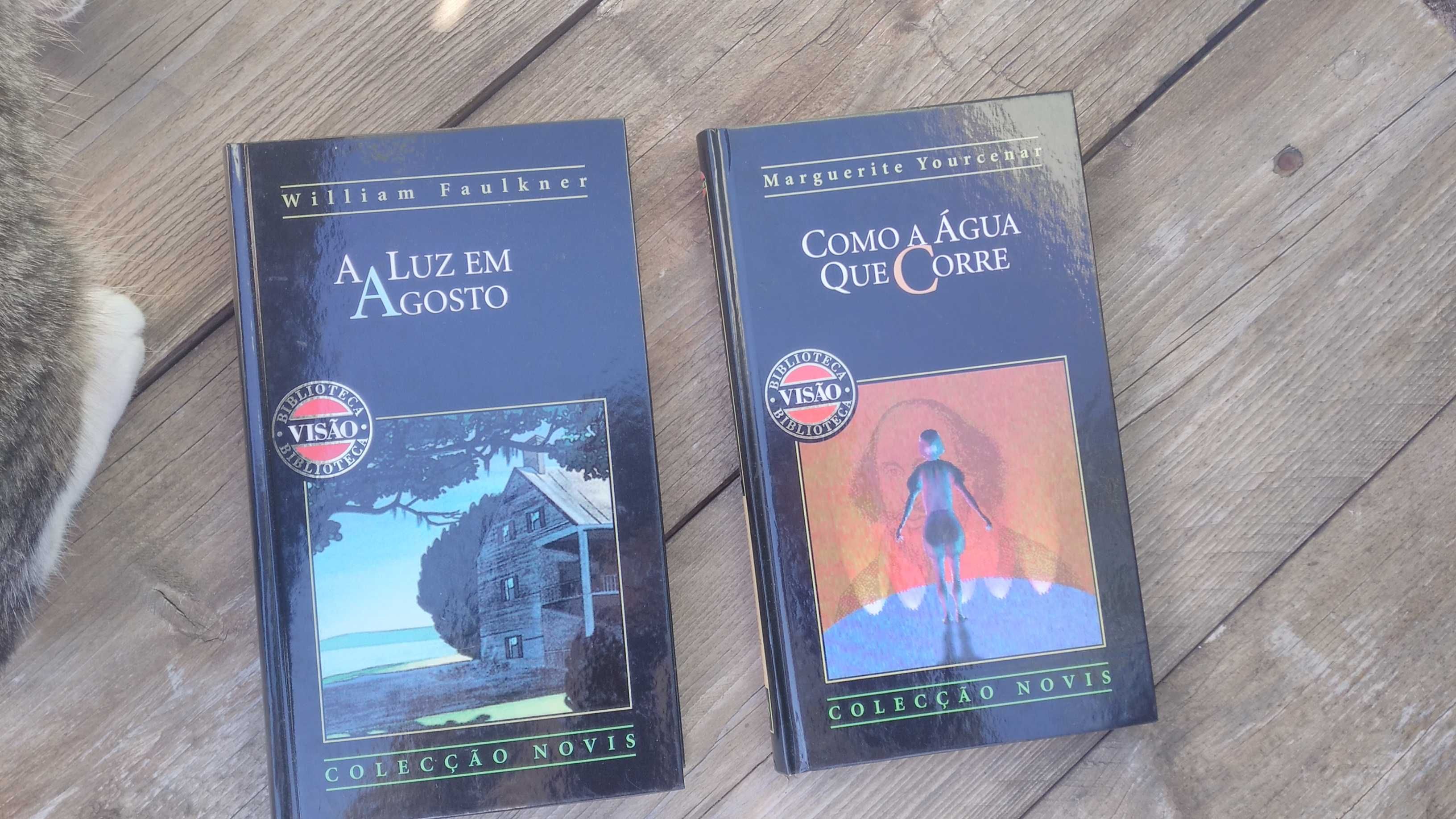 Livros coleção Biblioteca Visão - desde 1€