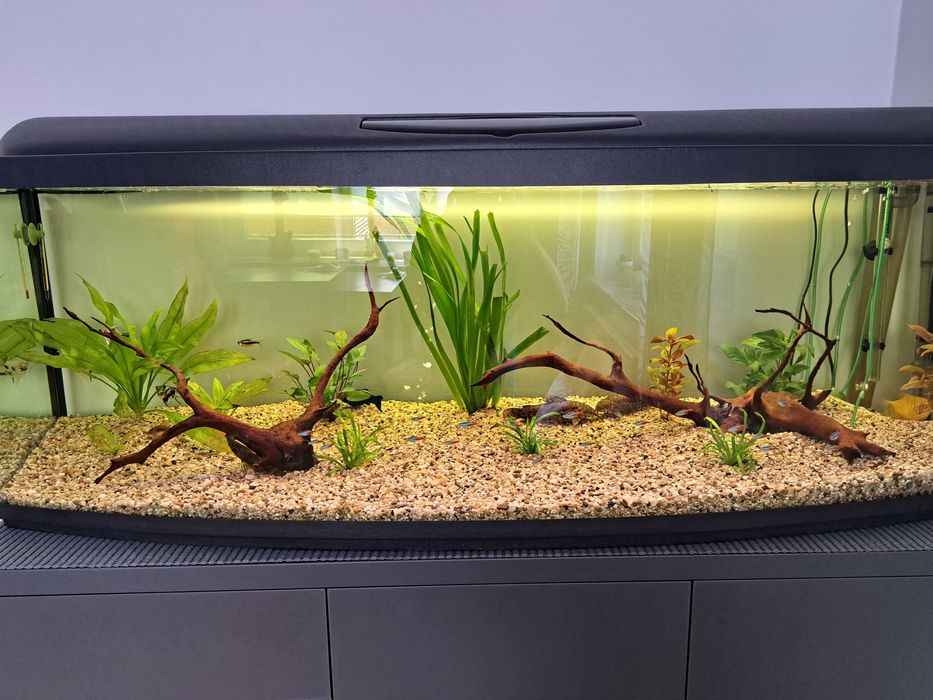 Akwarium 375 l, panorama z pokrywą