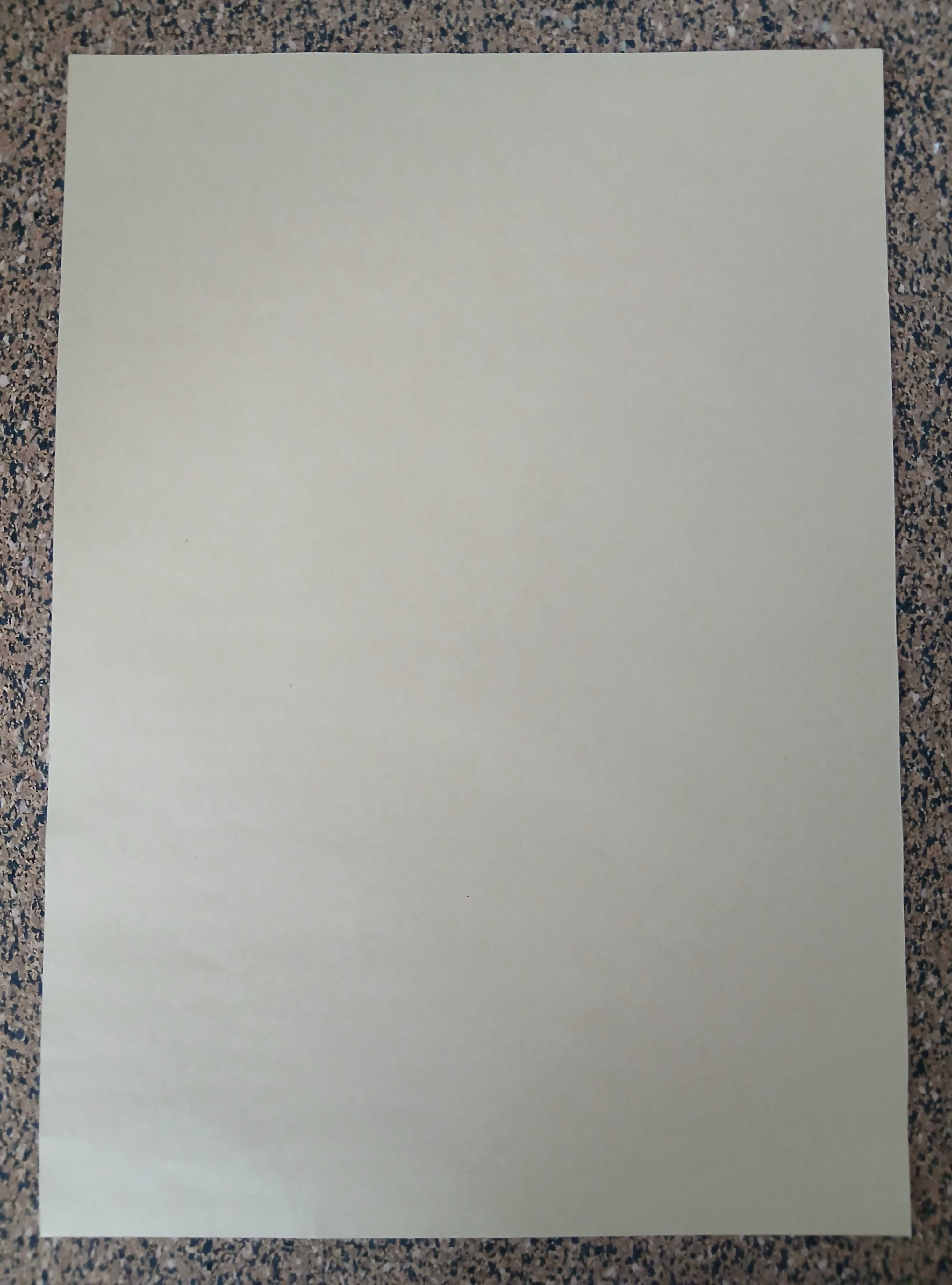 Poster - Back To The Future (papel kraft, formato A3)