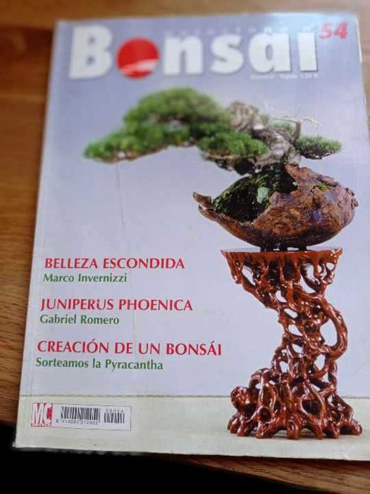 4 revista Bonsai rara