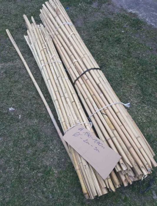 Tyczki pochodnie bambusowe 150-170 grube nowe