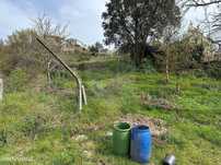 Terreno  para venda