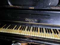 Pianino Olbrich Glatz