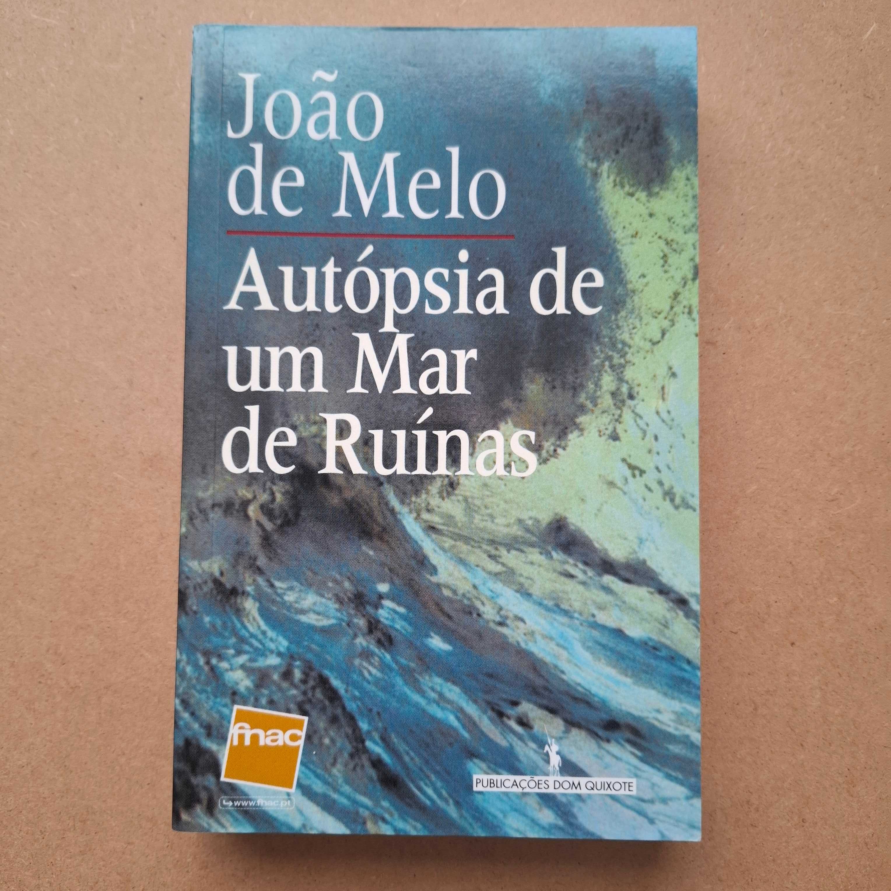 "Autópsia de um mar de ruínas" de João de Melo