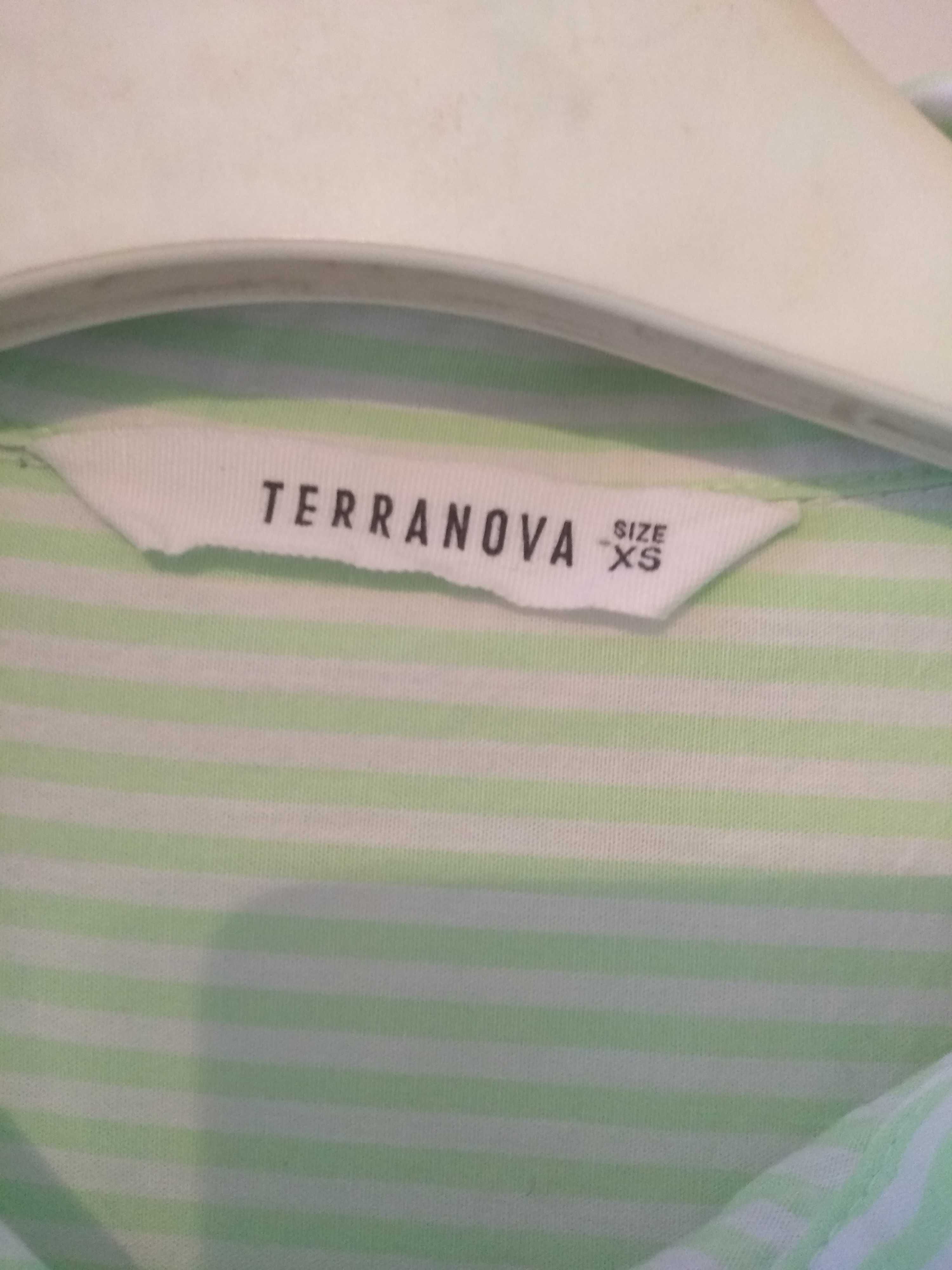 Koszula damska Terranova S prążek paski jak nowa bawełna