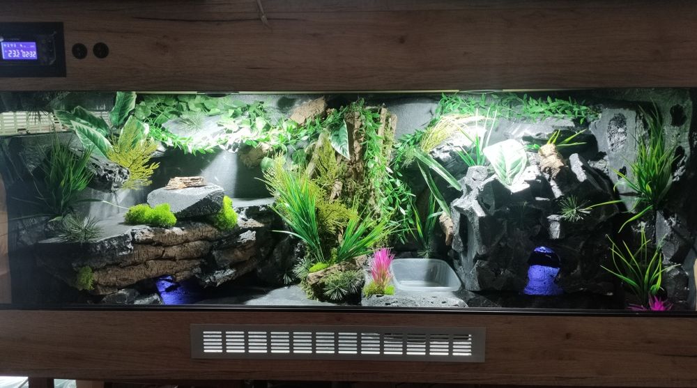 Terrarium 120x60x60 dla węża, jaszczurki,,agamy,gekona