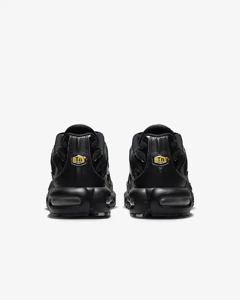 Кроссовки Nike Air Max Plus Black FJ4224-001