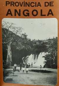 CAFÉ Angola Turismo