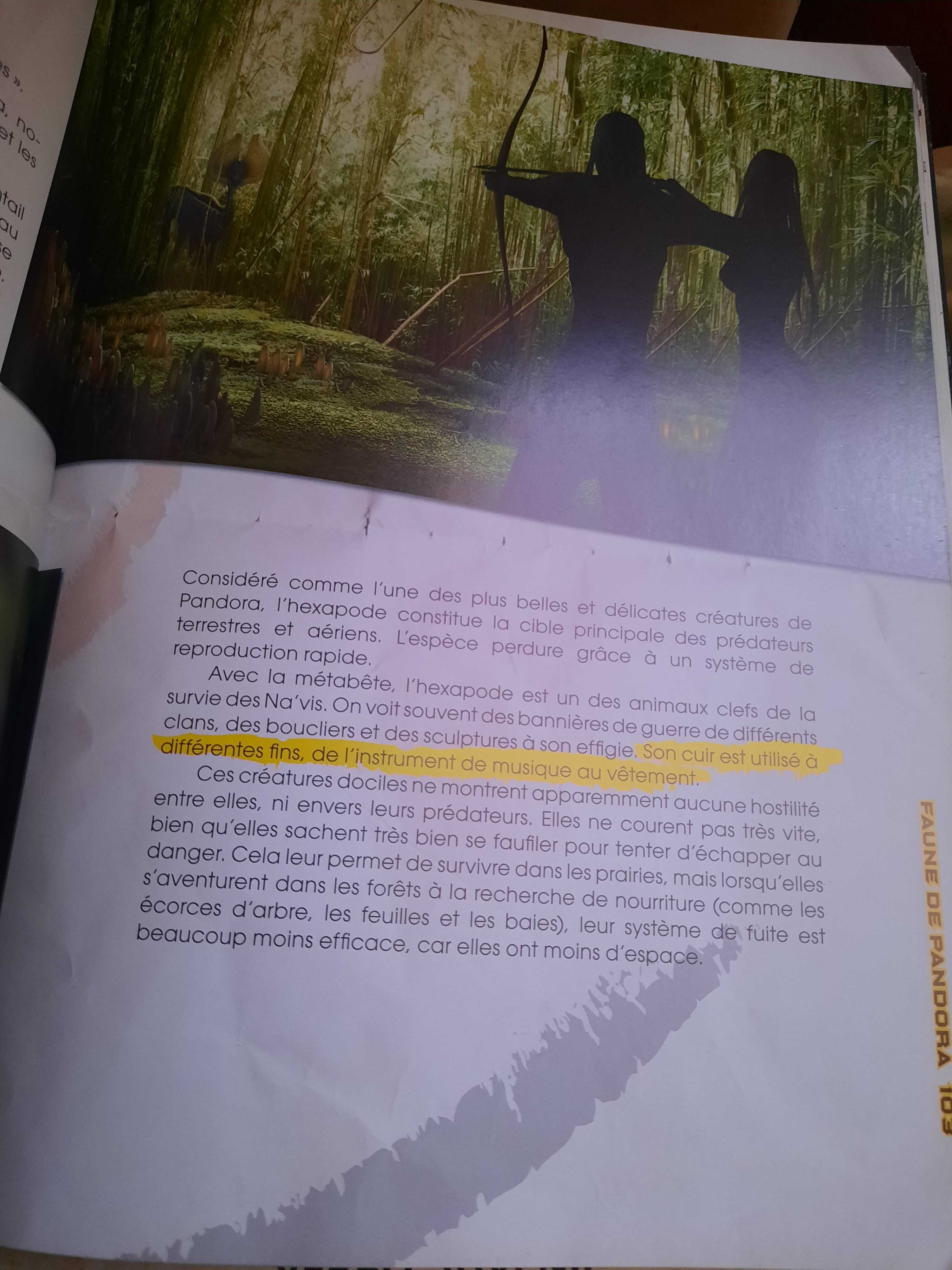Primeiro livro original do Avatar em francês