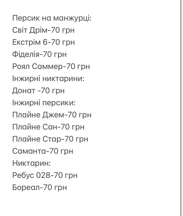Окулянти персика на манжурці ,черешні на всл2,грушка на Q-Elini,