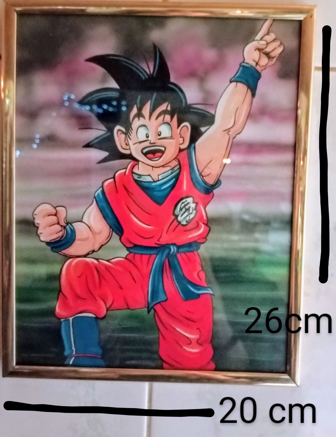 Dragon Ball Quadros antigos 26x20cm.