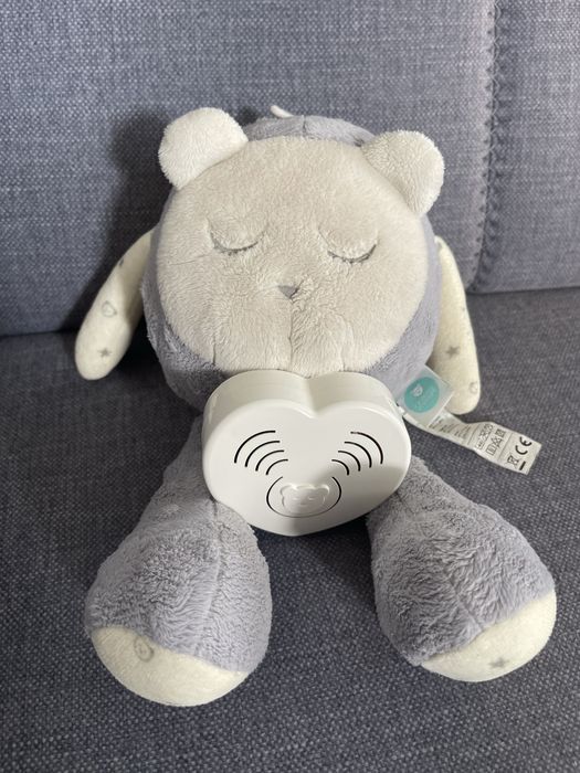 Miś szumiś szumisie