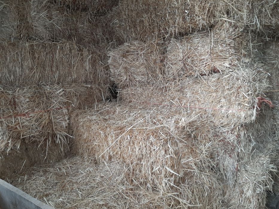 Vendo fardos de palha