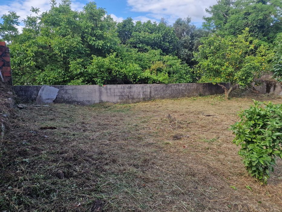 limpeza de terrenos/ desmatação/ venda de lenha