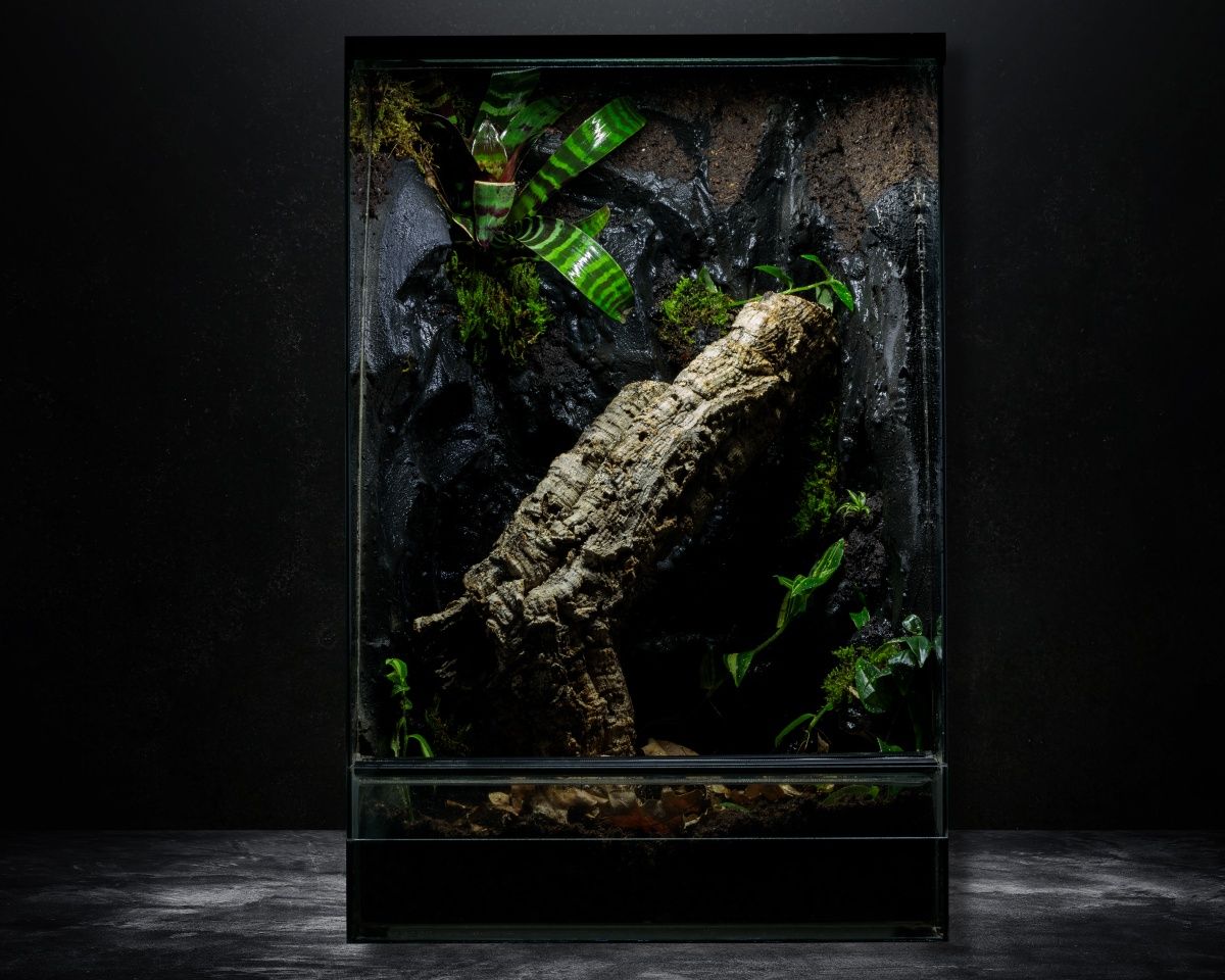 Terrarium tropikalne paludarium gekon 40x40x60