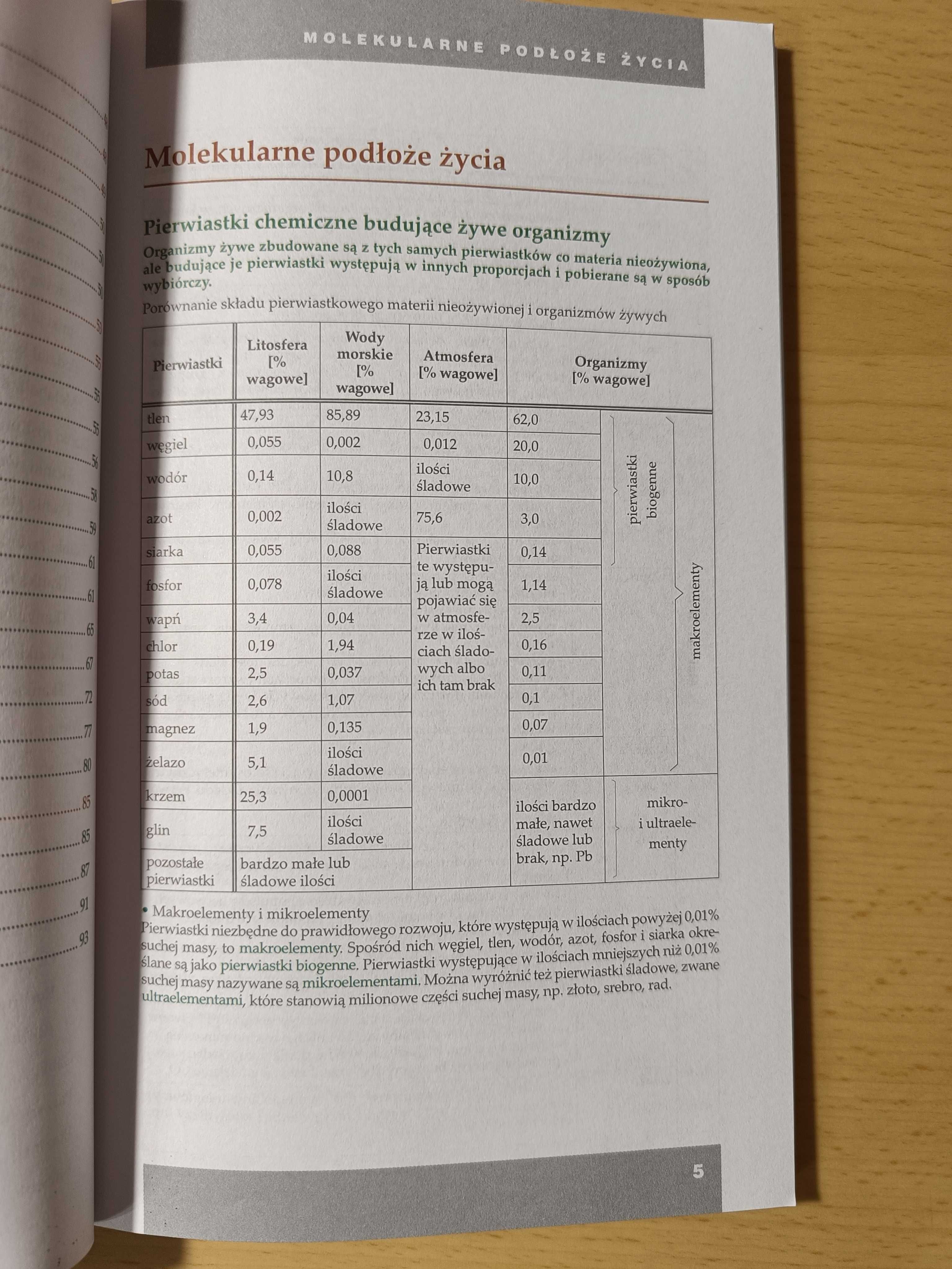 Tablice szkolne - gramatyka angielska i biologia