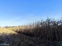 Terreno  para venda