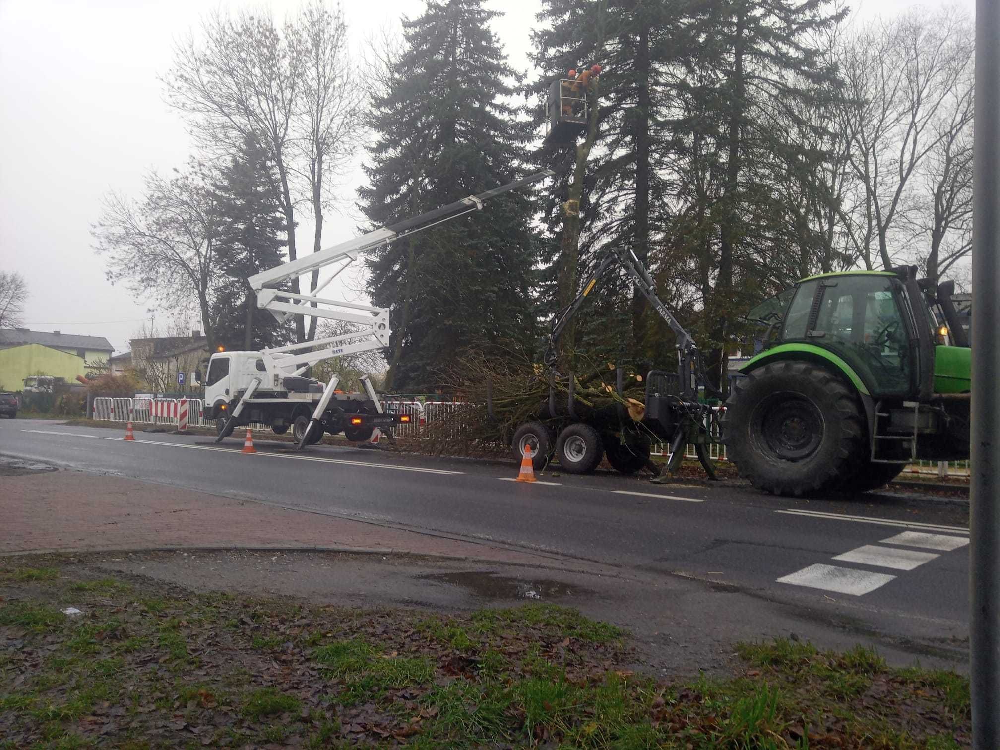 Czyszczenie działek, rekultywacja, mulczer leśny, karczowanie