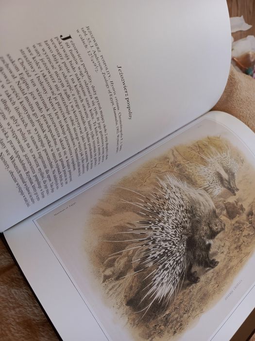 Historia Naturalna w Obrazach Ssaki twarda oprawa