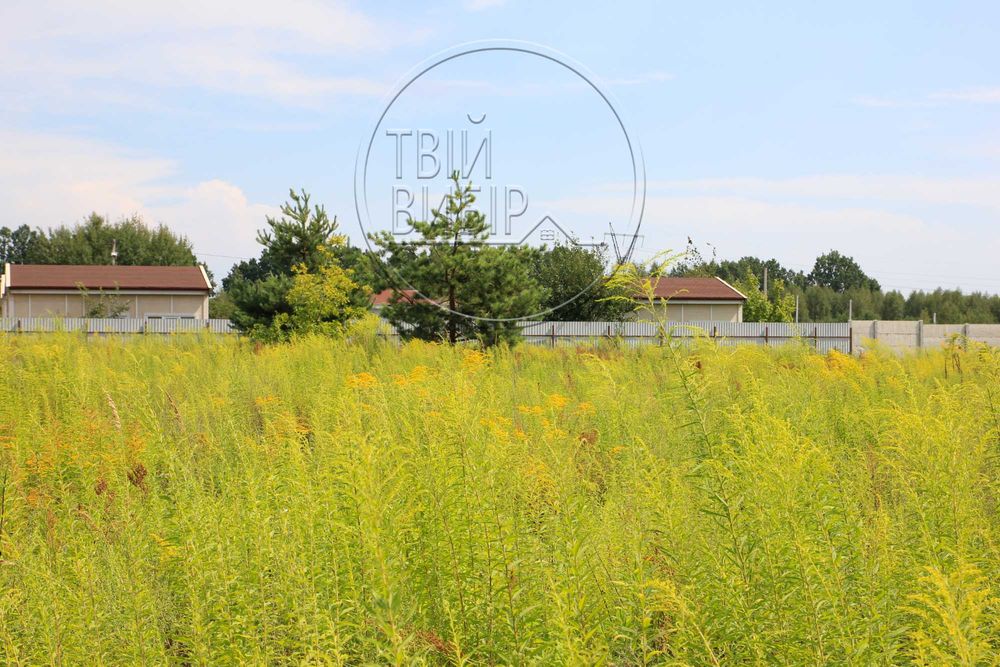 Продаж Ділянки Петрушки 10 соток