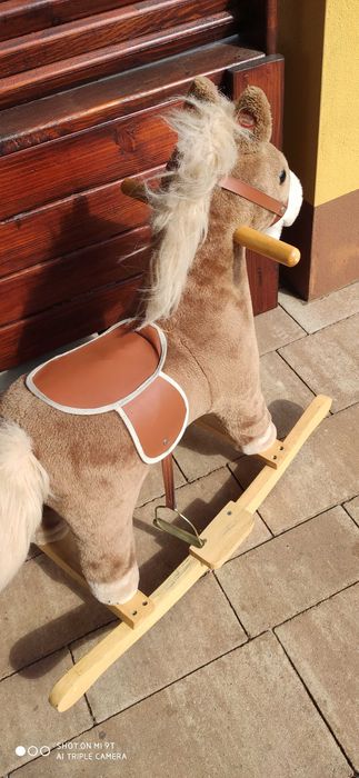 Konik na biegunach